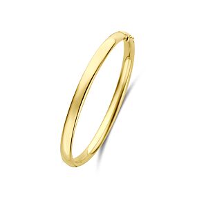 bangle scharnier ovale buis massief 6 x 60 mm 
