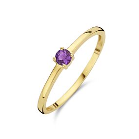 ring met geboortesteen amethist februari