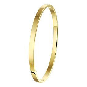 bangle scharnier massief vlakke buis 4,0 mm