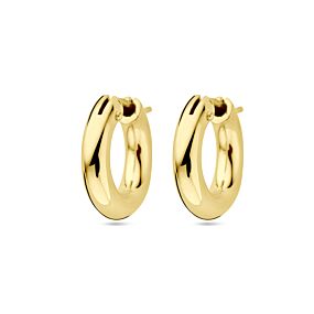 oorringen 4 mm buis