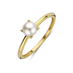 ring parel
