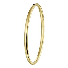 bangle massief ovale buis 4,0 mm
