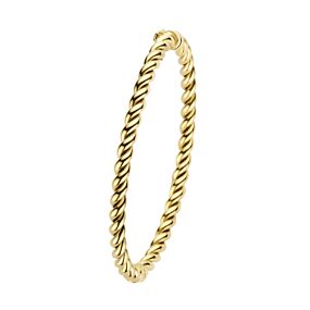 bangle gedraaide buis 61mm