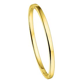 bangle scharnier vlakke buis 4 x 60 mm