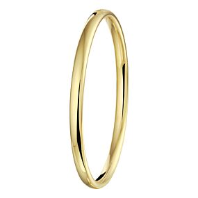 bangle scharnier massief ovale buis 5 mm