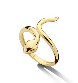 ring slang