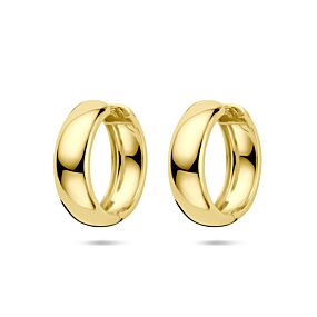 oorringen 25 mm 1 micron