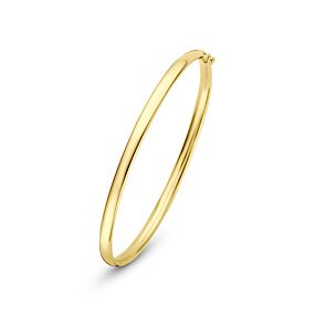 bangle scharnier ovale buis massief 4 mm