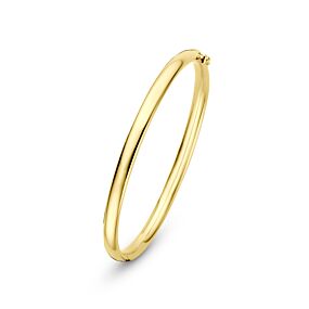bangle scharnier ovale buis massief 5 mm 
