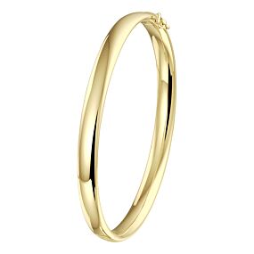 bangle scharnier ovale buis 6 x 60 mm