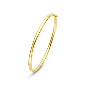 bangle scharnier ovale buis massief 3 mm 