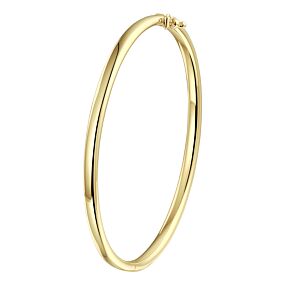 bangle scharnier ovale buis 4,0 mm