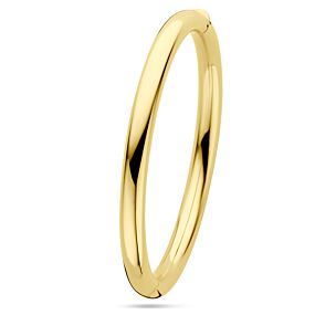 bangle scharnier ronde buis 6,0 x 60 mm