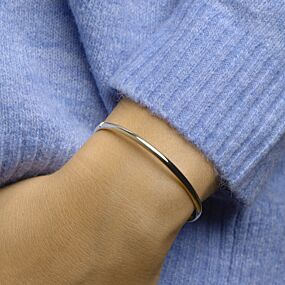 bangle scharnier massief ovale buis 3,0 mm