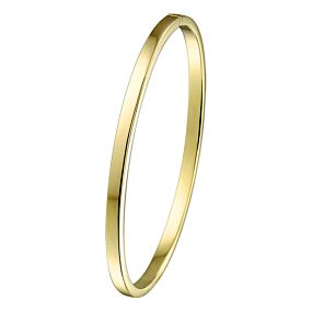 bangle scharnier massief vlakke buis 3 x 61 mm