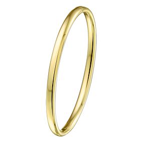 bangle scharnier massief ovale buis 3,0 mm