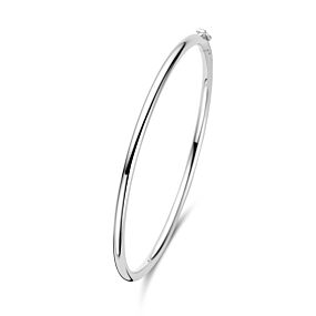bangle scharnier ronde buis 3 x 60 mm